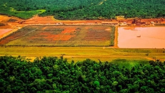 Deforestation in Colombia: An Intricate Story of Conflict and Power