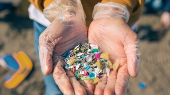 Are Microplastics Harmful And How Can We Avoid Them?