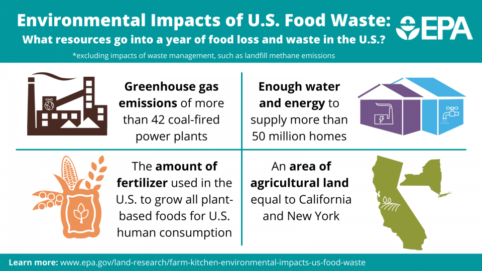 food waste in america