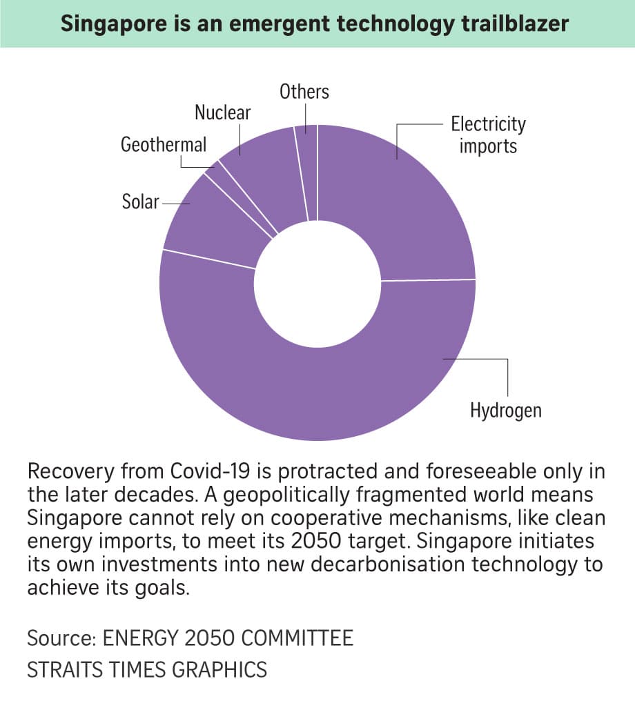 Singapore nuclear power plant