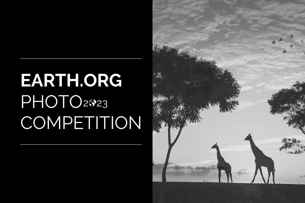 See the Winners of the 2023 Earth.Org Photography Competition!