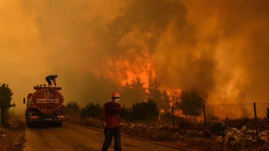 Lessons Learnt from the Wildfires in Turkey