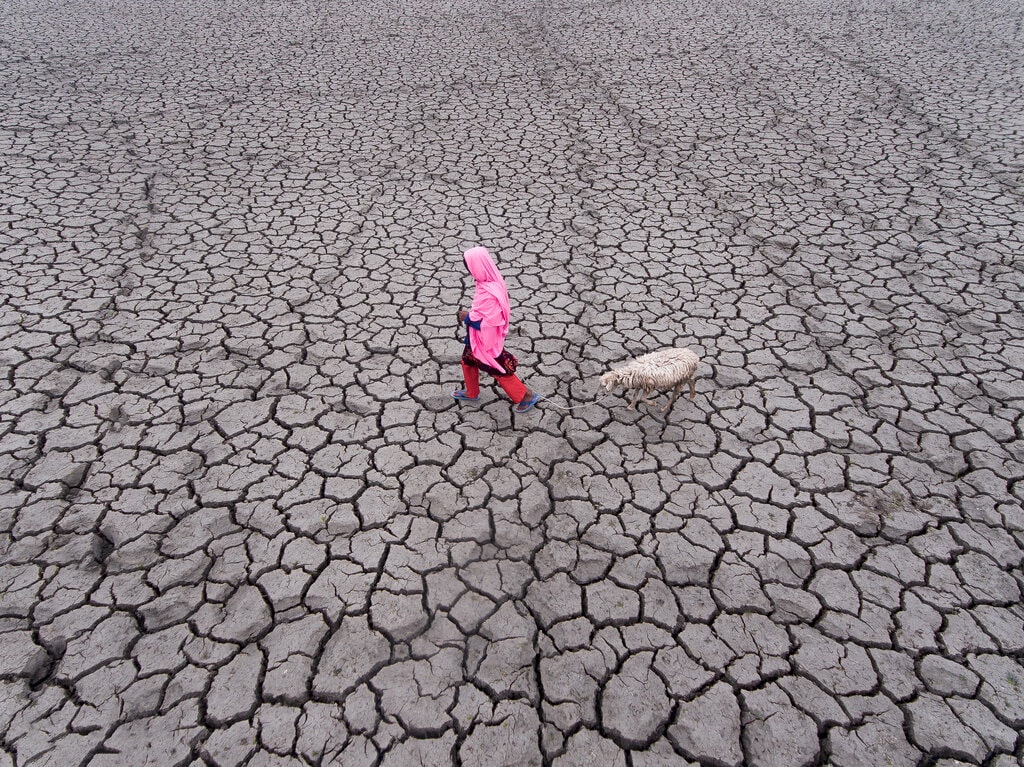 Global Drought Could Impact More Than 75% of World Population by 2050: UN Report