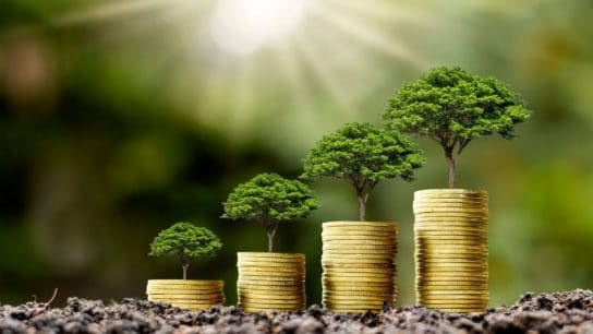There’s Growth in Sustainable Investing, But Are the Benefits Worth It?