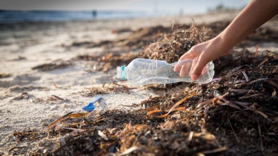 Australia Beaches See Plastic Pollution Drop by 30% in 6 Years
