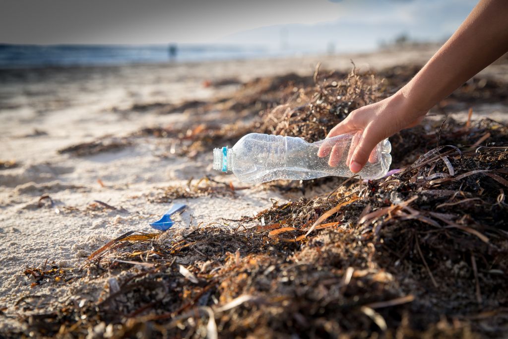 Australia Beaches See Plastic Pollution Drop by 30% in 6 Years