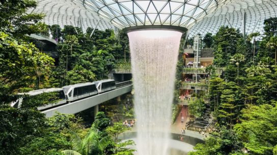 Biophilia Design and Biophilic Cities: Can Hong Kong Become One?