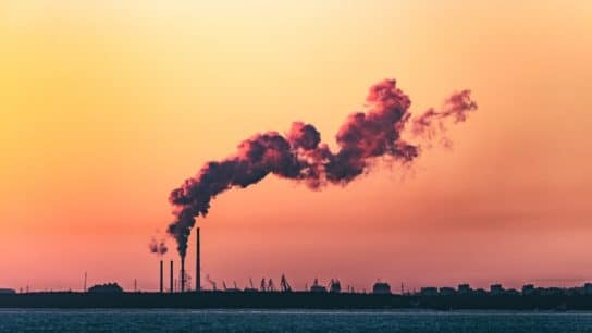 Social Cost of Carbon: The Figure We Need to Know
