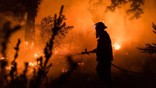 10 Interesting Facts about Wildfires