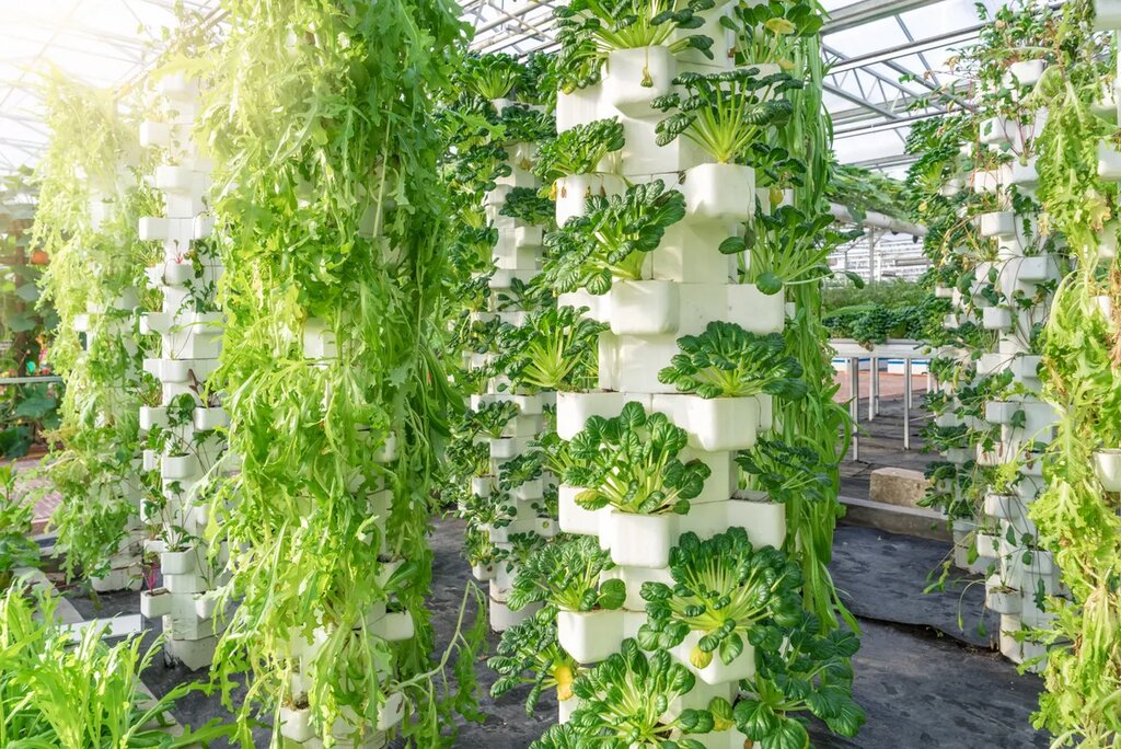 ways in which vertical farming can benefit our environment