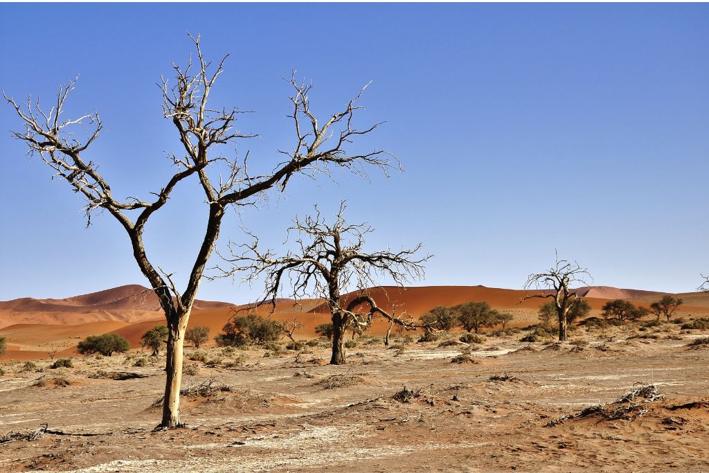 natural causes of desertification