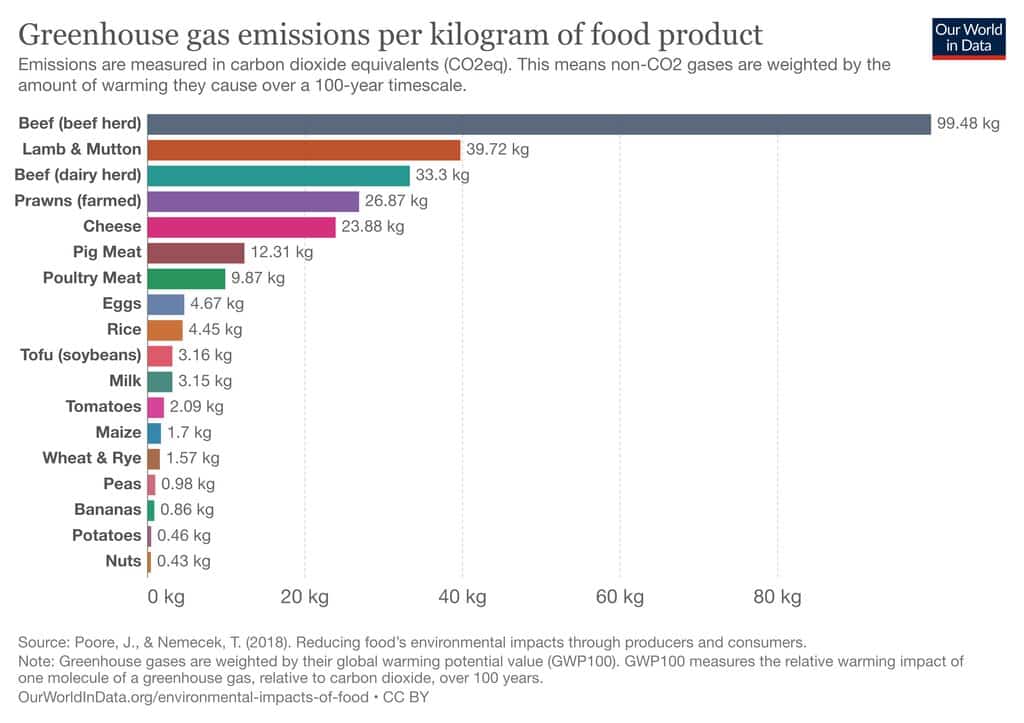 Methane Emissions From Cows