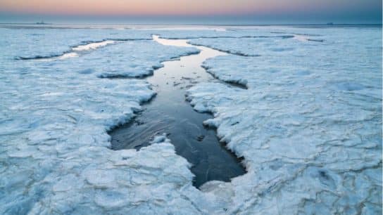 Arctic Warming Four Times Faster than Rest of the World: Study