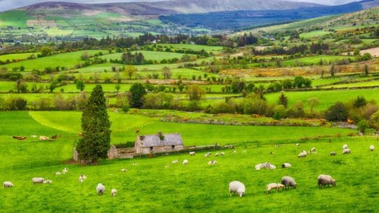 Ireland to Cut Emissions from Agriculture by 25% by 2030