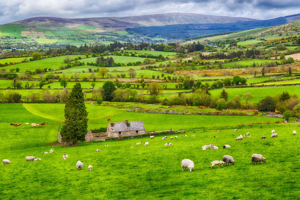 Ireland to Cut Emissions from Agriculture by 25% by 2030