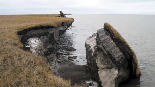 Coastal Erosion in the Arctic: A Compounding Effect of Global Warming