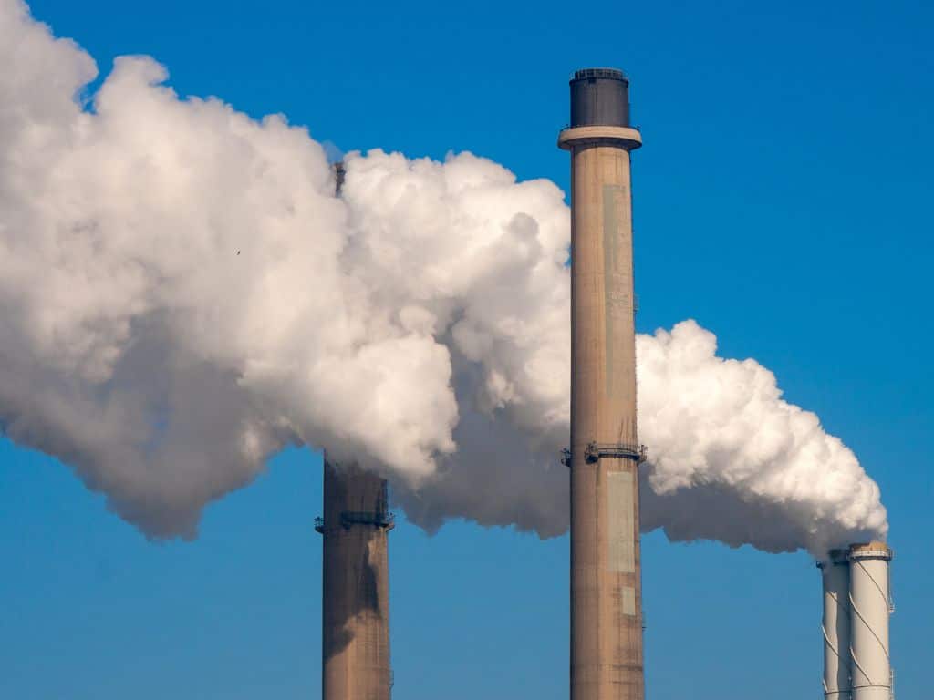 The Pros and Cons of Offsetting Carbon Emissions