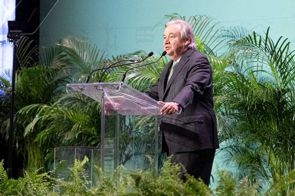 Defeating Climate Change ‘Only Possible’ If We Reverse Biodiversity Loss, UN Chief Says at COP15