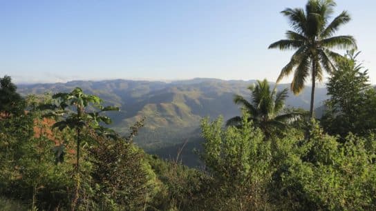 The Struggle to Conserve Threatened Forests in Haiti