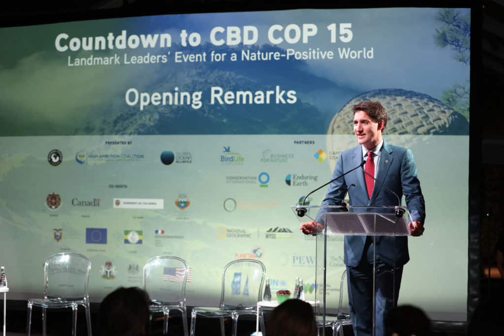 What Is COP15? All You Need to Know About the 2022 UN Biodiversity Conference