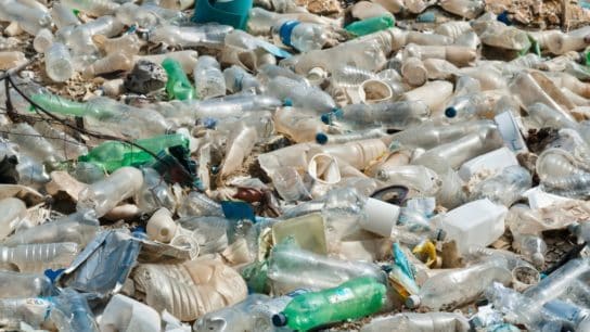 England Announces Single-Use Plastic Ban to Reduce ‘Devastating Impacts’ of Plastic Pollution