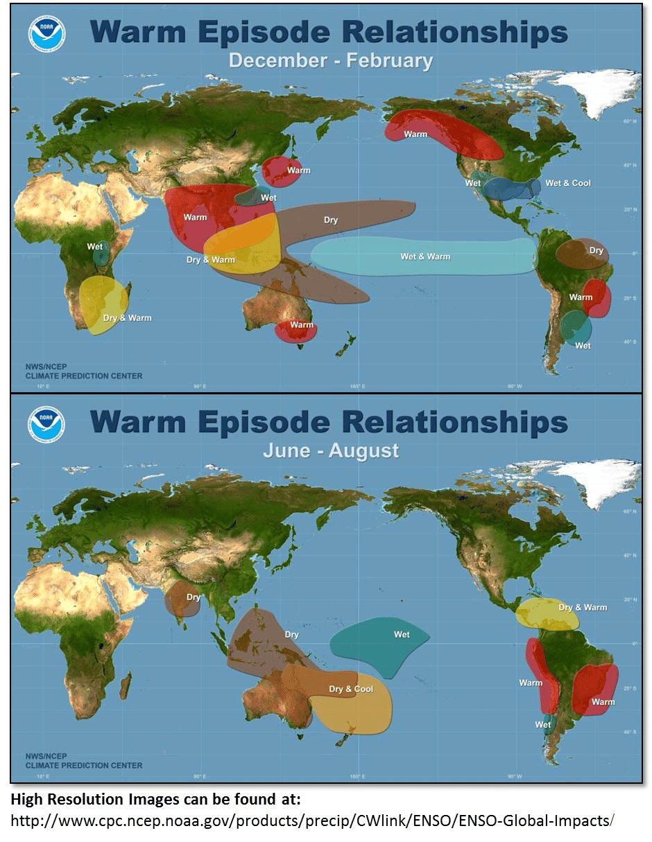 El Niño globally influences weather and sea surface temperatures. This figure depicts how El Niño brings more or less rainfall and cooler or warmer temperatures depending on where you are located. Image by NOAA & National Weather Service.