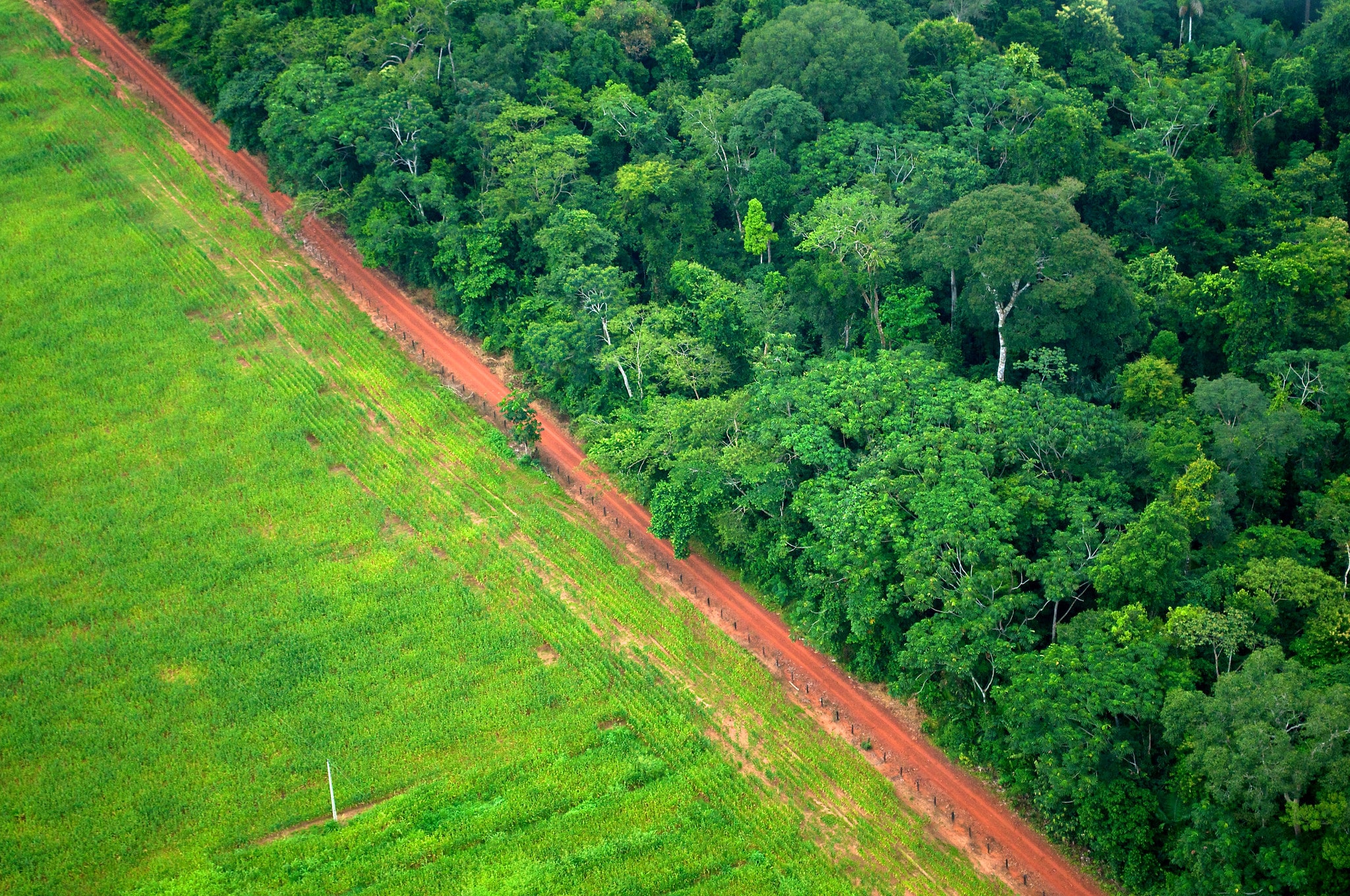 A photo of a cleared section of the Amazon Rainforest. 