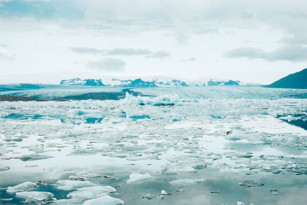 melting glacier; global warming; polar bears at risk of extinction