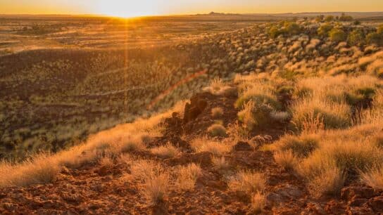 How First Peoples Land Management Is Helping Conservation in Australia