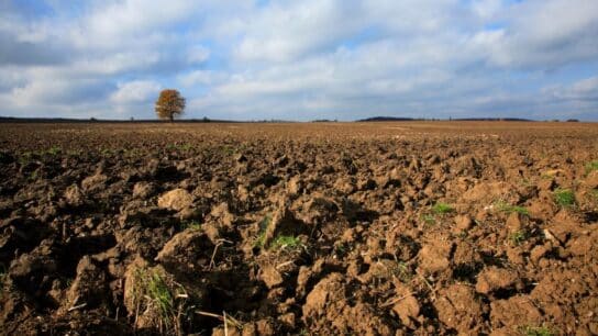 The Role of Soil Organic Carbon in Fighting Climate Change