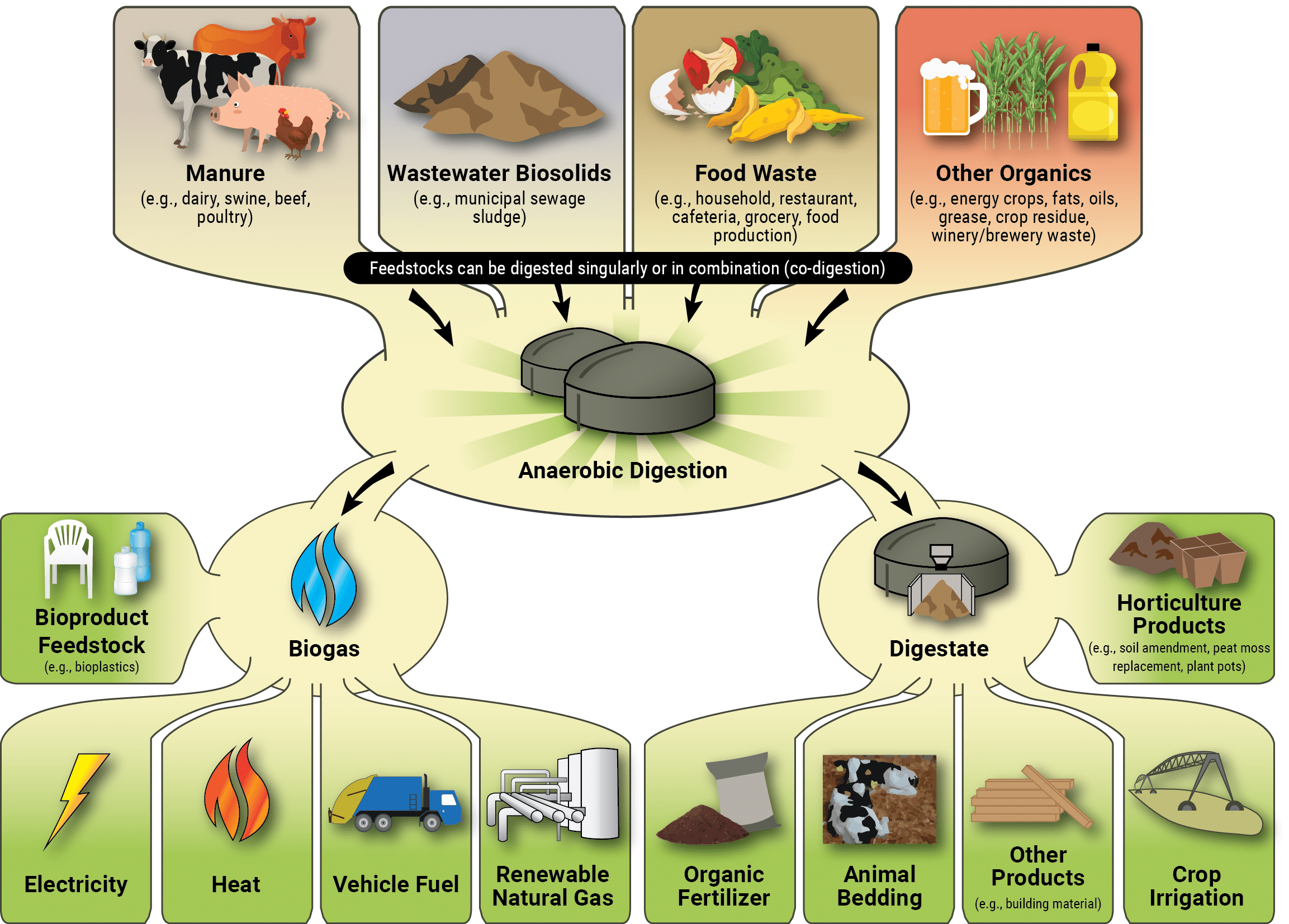 Anaerobic digestion system. Source: United States Environmental Protection Agency (EPA)
