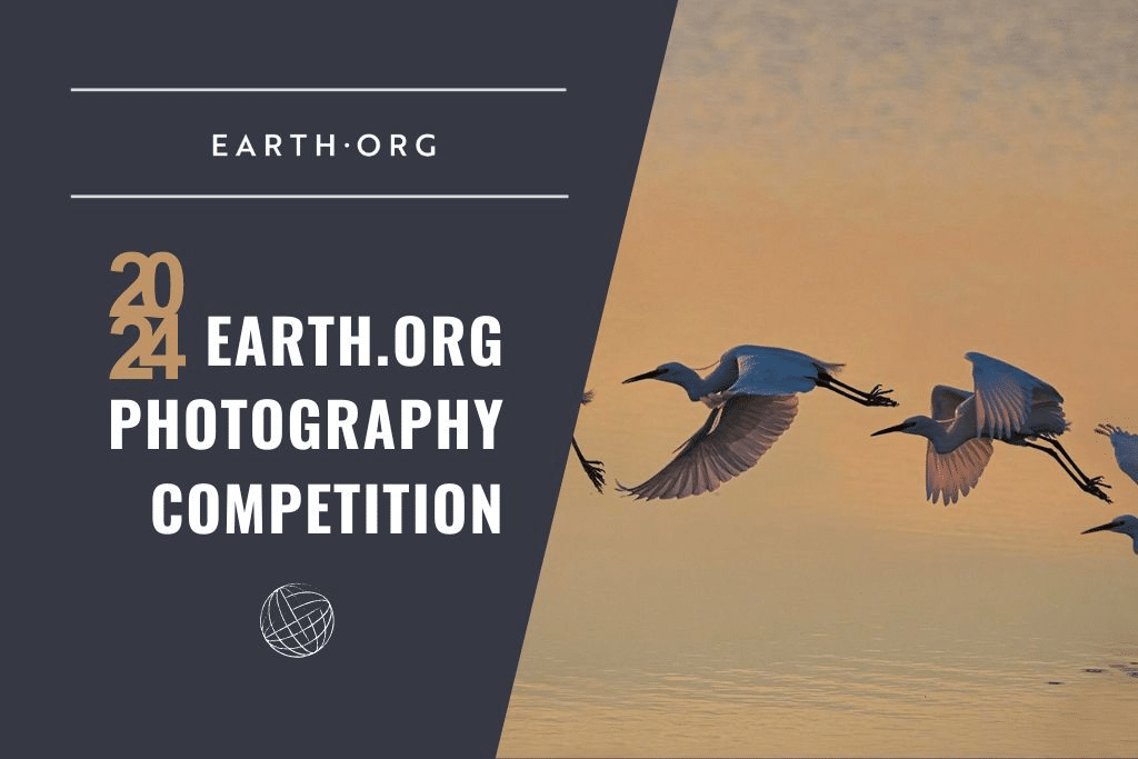 photography competition 2024; earth.org