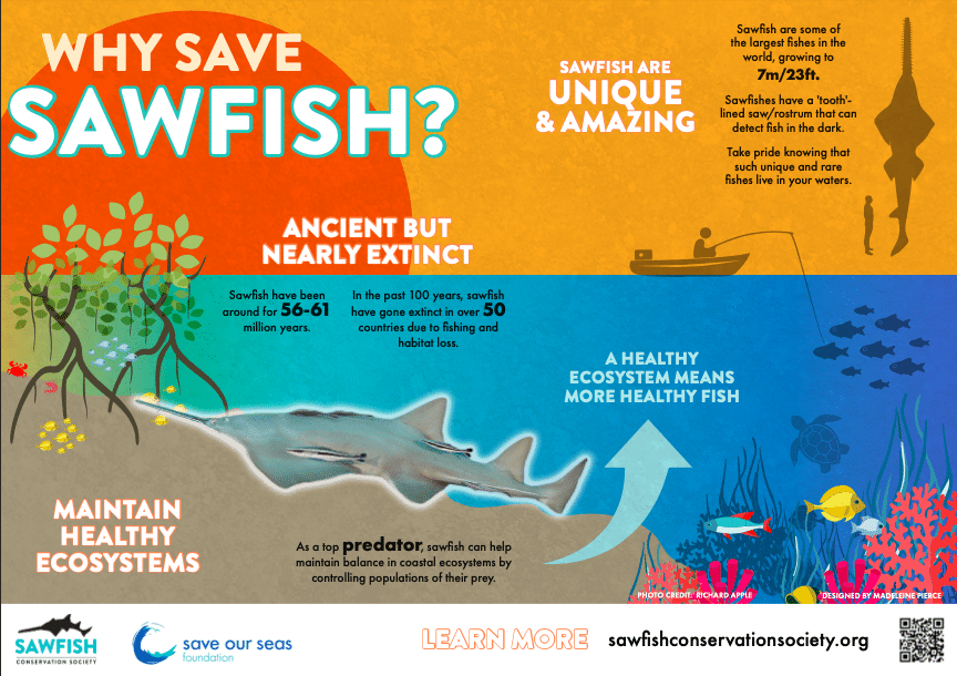 how to save sawfish