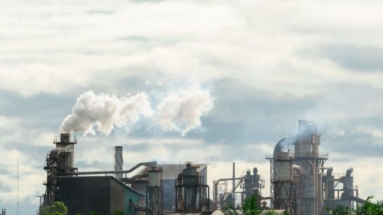 Carbon Tax: The Importance of Revenue Neutrality for Its Success