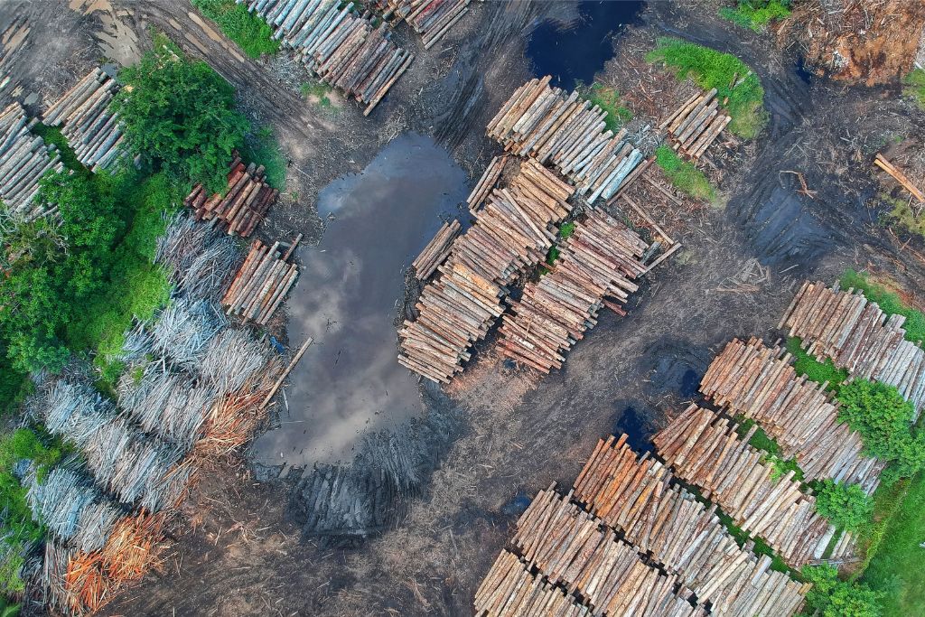 Agricultural Giant Cargill Faces Legal Action Over Deforestation and Human Rights Failings in Brazil