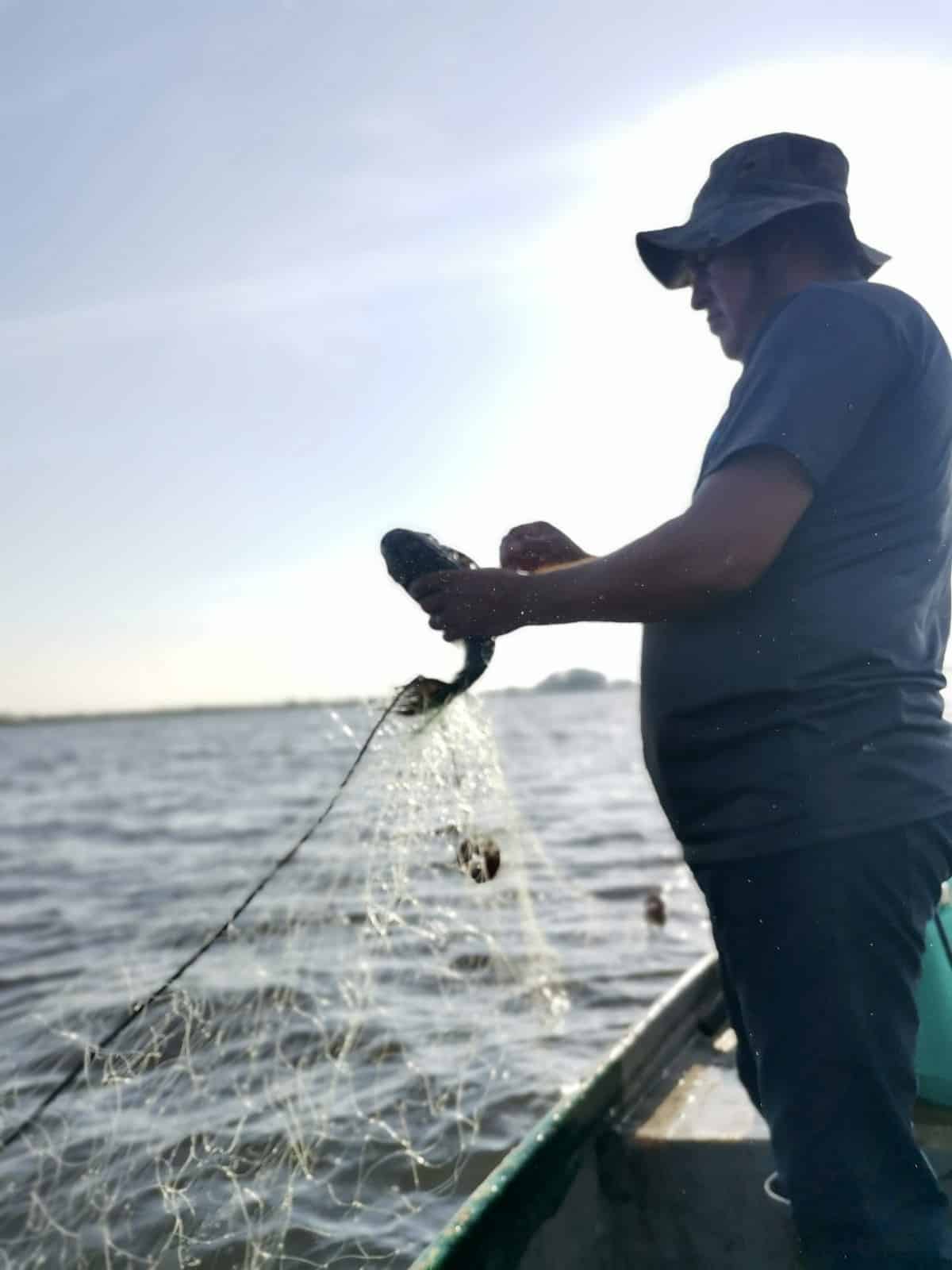 A fisherman is in the process of capturing an armoured catfish using nets in Tabasco, Mexico. Photo: Sara Escobar, Tortugas al Viento.