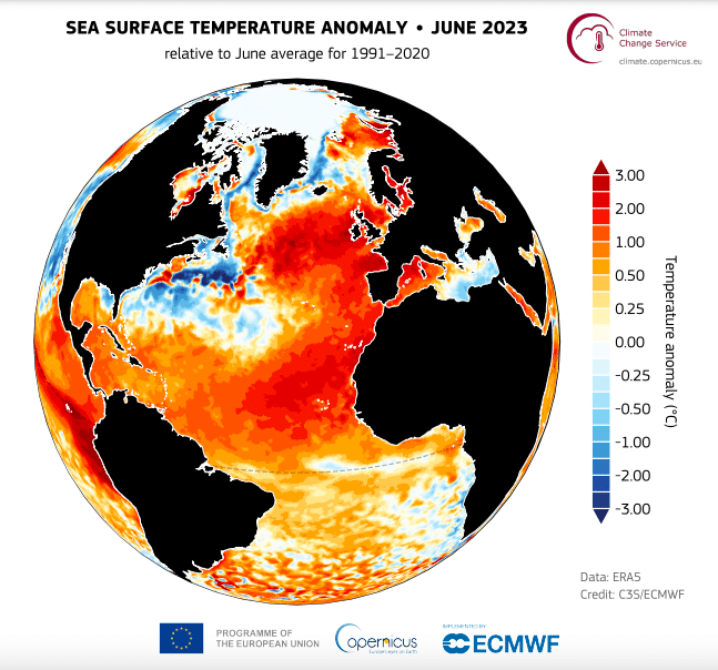 sea surface temperature anomaly for 2023; copernicus; marine heatwaves