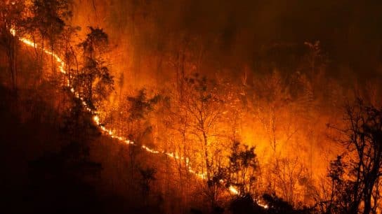 Devastating Maui Wildfires Kill at Least 36 People, Destroy Historic City of Lahaina
