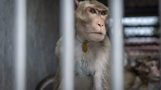 Op-Ed: The Disturbing Truth of Captivity-Related Harm