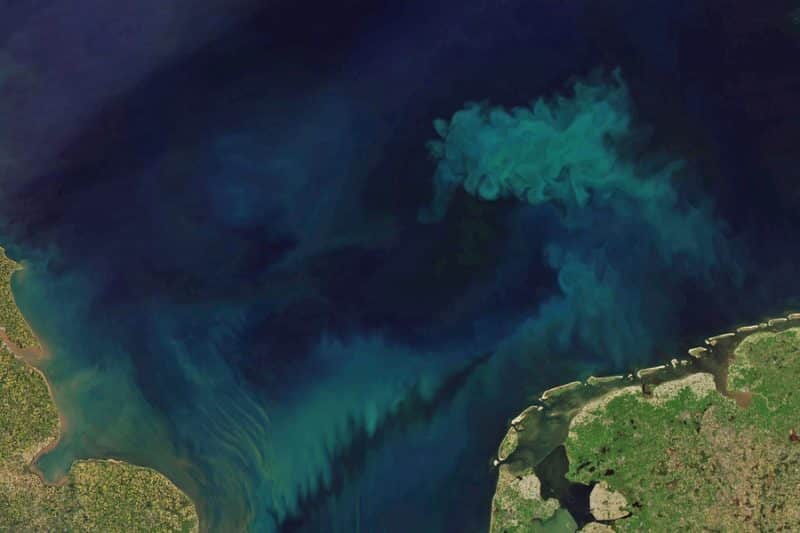 Green Seas: Unravelling Climate Change’s Impact on the Ocean Colour