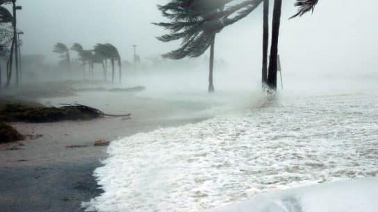 Biden Says Climate Change Is Undeniable After Cat. 3 Hurricane Idalia Lashes Florida