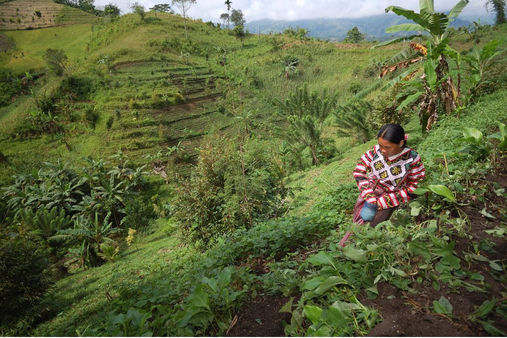 How Climate Change Is Harming Indigenous Farming in the Philippines