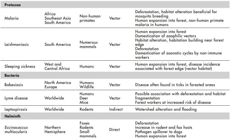 Forest-associated infectious diseases. Image: Wilcox and Ellis.