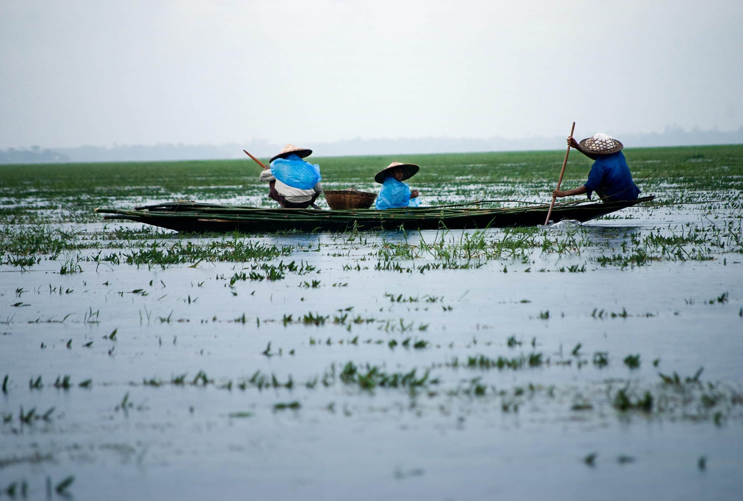 20 million people could be displaced by 2050 in Bangladesh due to rising sea levels. Photo by Ariful Haque?Pexels