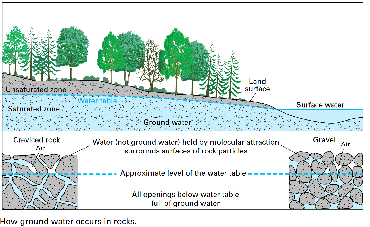how groundwater occurs; The Water Table. Image: USGS.