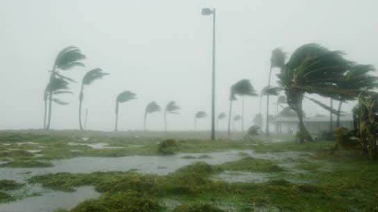 Deadly Hurricane Otis’ Rapid Intensification Is Symptom of Climate Change, Scientists Say
