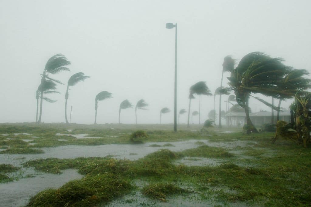 Deadly Hurricane Otis’ Rapid Intensification Is Symptom of Climate Change, Scientists Say