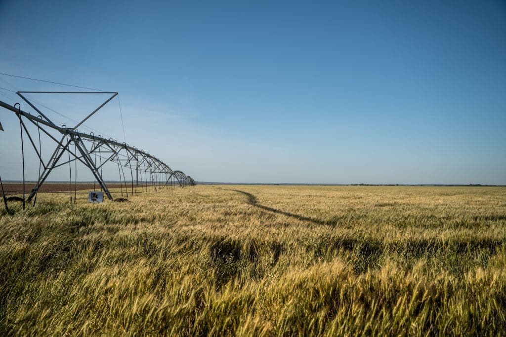 11 Ways Farmers Are Adapting to the Unpredictability of Climate Change