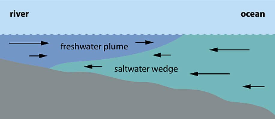 Saltwater wedge moving in a river. Image: Yale Environment 360.