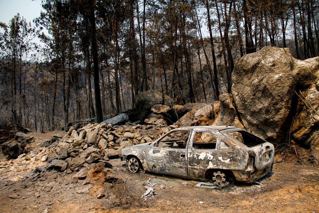Wildfires in Turkey. Photo: Utku Kuran
